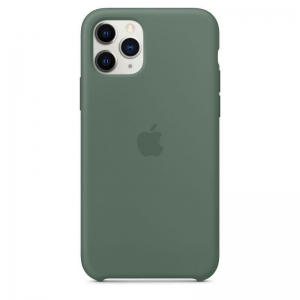 Silicone Case iPhone 11 pine green (blistr)