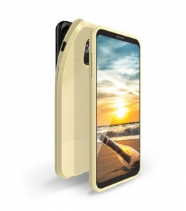 Pouzdro Back Case Dux Ducis Mojo iPhone X, XS, gold