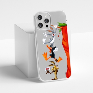 Pouzdro iPhone 14 Pro Max (6,7) Looney Tunes vzor 005, transparent
